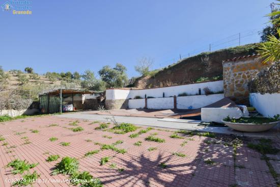  CORTIJO CON FINCA DE OLIVOS - GRANADA 