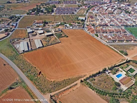  Se vende finca de 25100 m2 con casa y almacen - MURCIA 