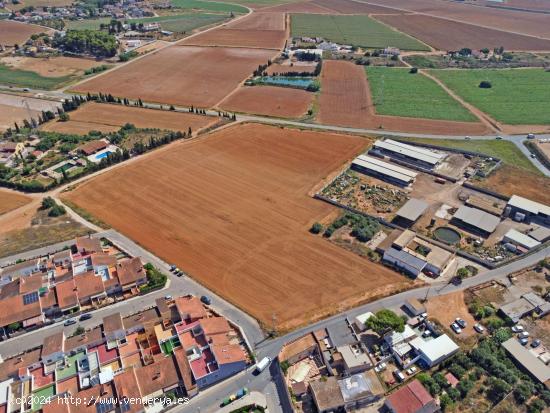 Se vende finca de 25100 m2 con casa y almacen - MURCIA