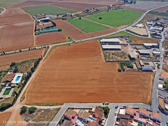 Se vende finca de 25100 m2 con casa y almacen - MURCIA