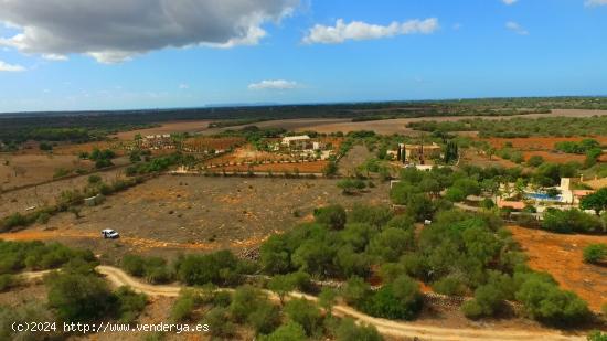 Terreno rústico con proyecto aprobado - BALEARES