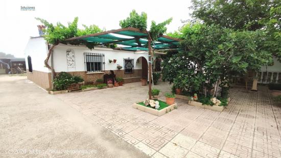 PARCELA AL INICIO DE CASAS VIEJAS DE 2550 M2 - ALBACETE