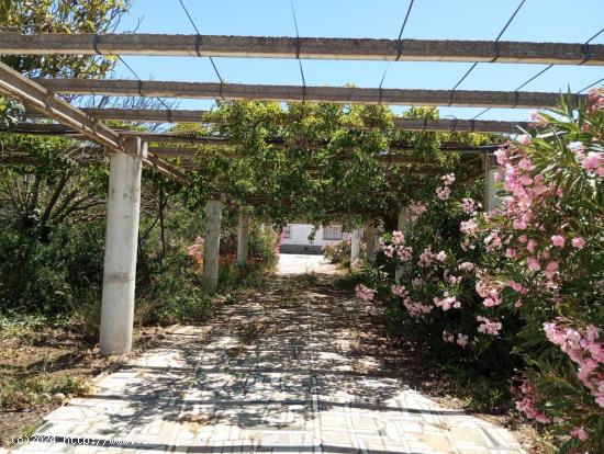 Venta de chalet en la zona de Carboneros - CADIZ