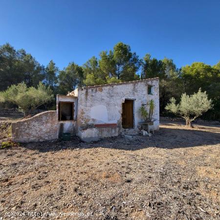 Finca Rústica con caseta de campo para rehabilitar, vistas mar y montaña - TARRAGONA