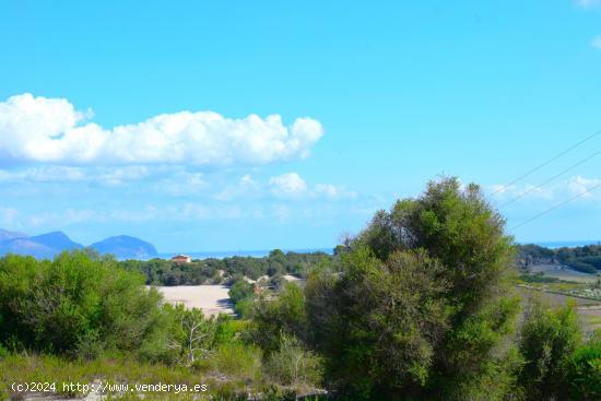 Finca rústica con proyecto de vivenda unifamiliar y piscina aprobado en Santa Margarita - BALEARES