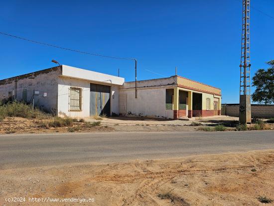 Se vende finca de 25100 m2 con casa y almacen - MURCIA