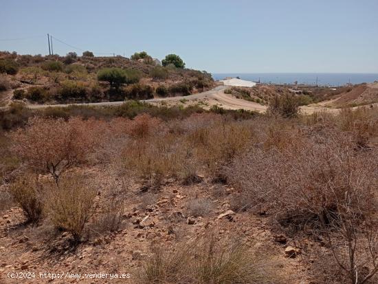 5500 METROS DE TERRENO A 2 MINUTOS DE LA PLAYA - MURCIA