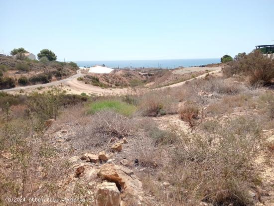 5500 METROS DE TERRENO A 2 MINUTOS DE LA PLAYA - MURCIA