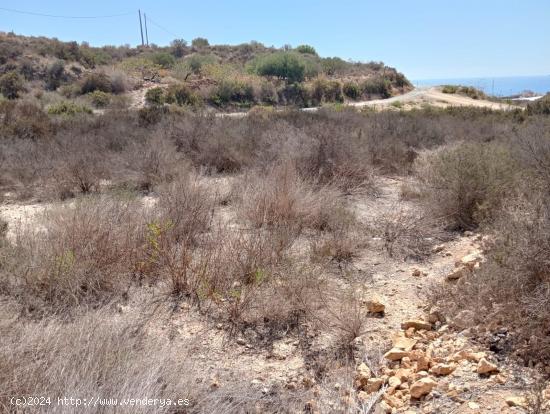 5500 METROS DE TERRENO A 2 MINUTOS DE LA PLAYA - MURCIA