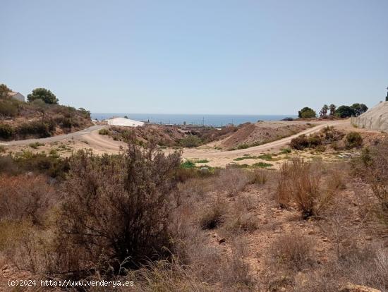 5500 METROS DE TERRENO A 2 MINUTOS DE LA PLAYA - MURCIA