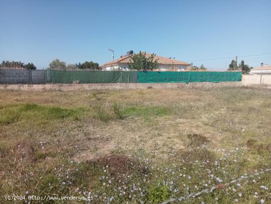 PARCELA EN ZONA LA IMBRUSQUETA - CADIZ