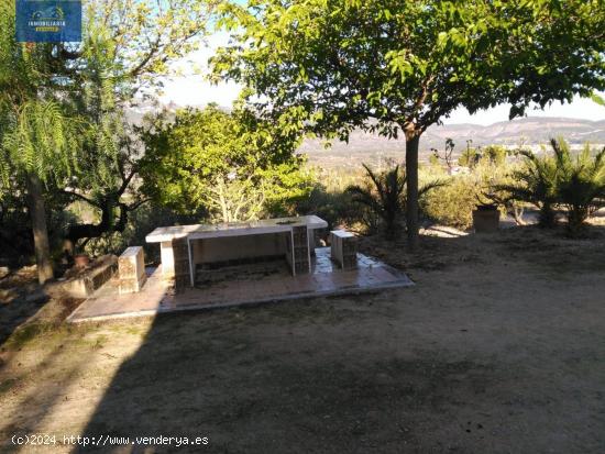 SE VENDE FINCA RUSTICA CON PEQUEÑA CASA Y TERRENO EN COCENTAINA - ALICANTE