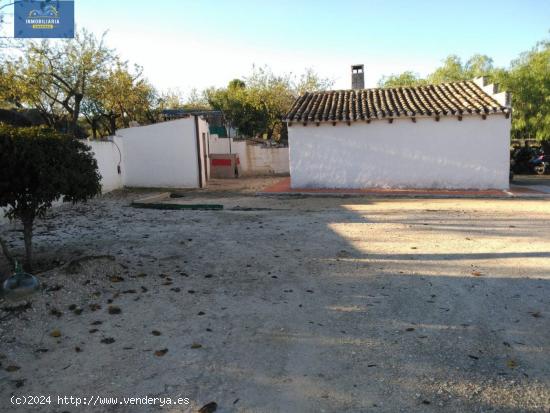 SE VENDE FINCA RUSTICA CON PEQUEÑA CASA Y TERRENO EN COCENTAINA - ALICANTE