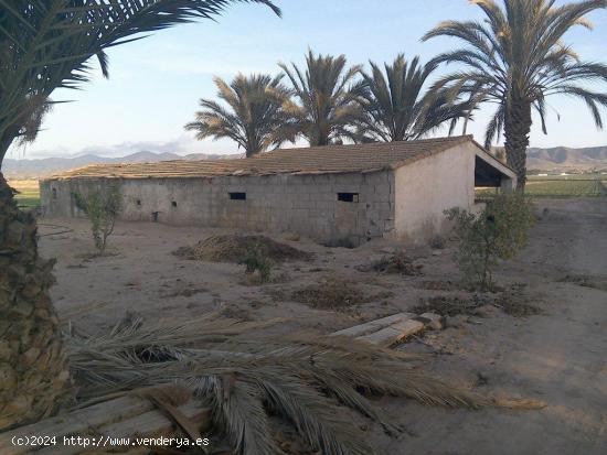 PARCELA DE CULTIVO CON ALMACENES Y PORCHE - MURCIA