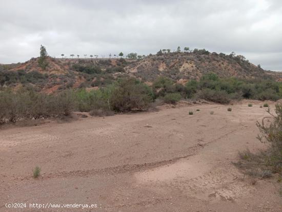 TERRENO RURAL JUNTO AL CENTRO DE PUERTO LUMBRERAS - MURCIA