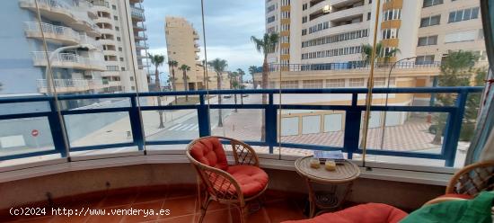 TAV050 - APARTAMENTO DE 114M2 EN EL EDIFICIO LAGOMAR III DE TAVERNES - TERRAZA ACRISTALADA - VALENCI