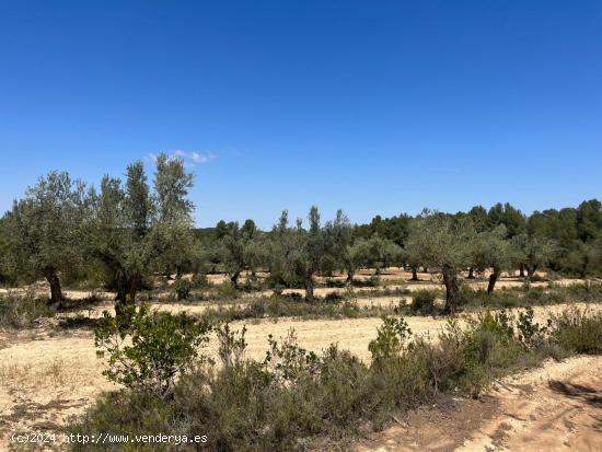 Finca en la montaña con privacidad - TERUEL