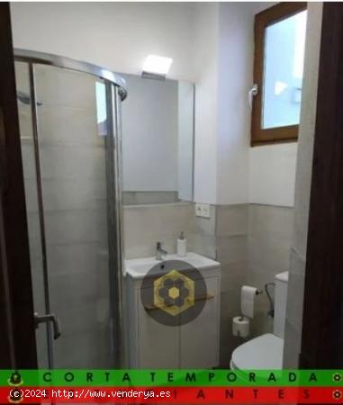 CT/LT/EST.- Apartamento en ático amueblado de UN dormitorio zona Recogidas - GRANADA