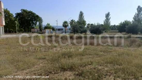 Magnífico terreno urbano en Montserrat - VALENCIA