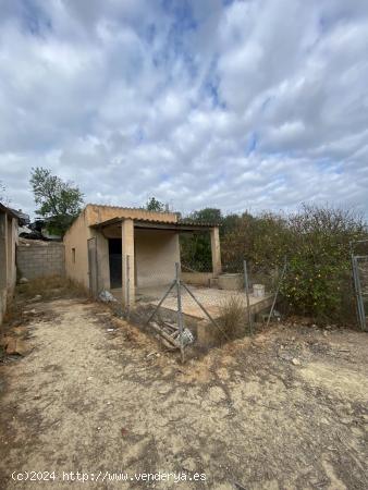 Estupenda finca agricola - ALICANTE