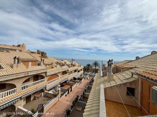 Se Alquila en Arenales del sol - ALICANTE