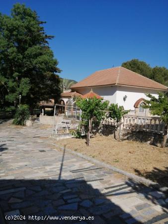 FINCA RÚSTICA HUELMA - JAEN