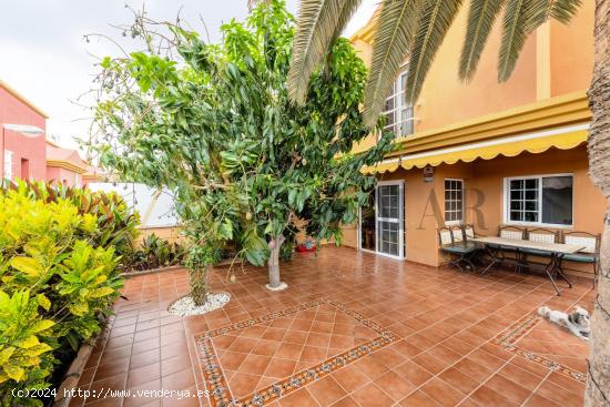 Duplex de dos habitaciones y grande terraza con arboles frutales en San Agustín - LAS PALMAS