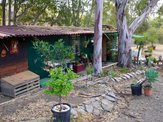 ¡¡ENCANTADORA FINCA RÚSTICA CON CASITA EN LA CALA DE MIJAS!! - MALAGA