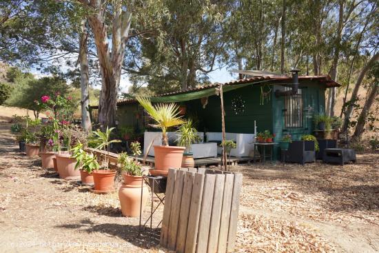 ¡¡ENCANTADORA FINCA RÚSTICA CON CASITA EN LA CALA DE MIJAS!! - MALAGA