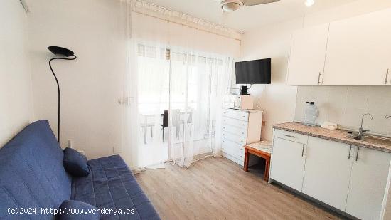 SE ALQUILA APARTAMENTO DE 1 DORMITORIO EN PLAYA DE LOS LOCOS TORREVIEJA (ALICANTE) - ALICANTE