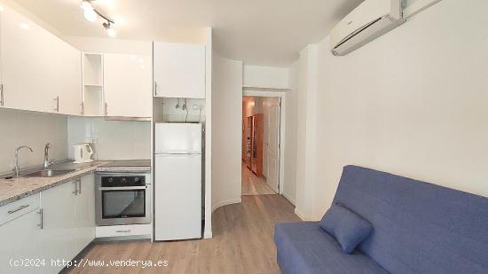 SE ALQUILA APARTAMENTO DE 1 DORMITORIO EN PLAYA DE LOS LOCOS TORREVIEJA (ALICANTE) - ALICANTE