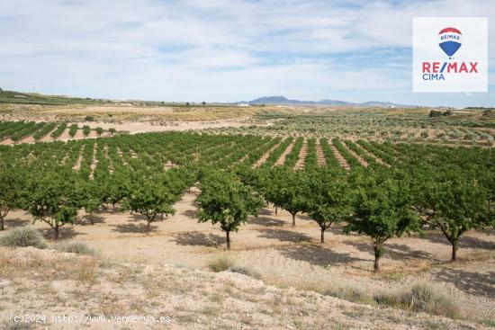 Finca Rústica en Venta en Benamaurel, Junto al Río Cúllar! - GRANADA