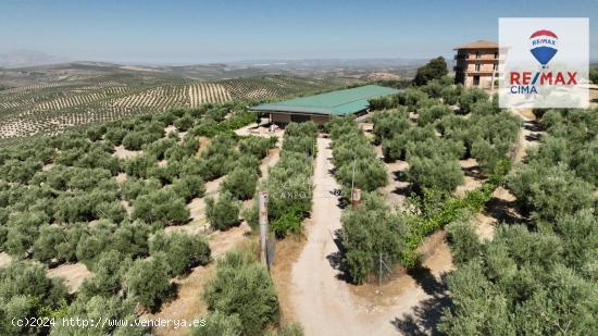 FINCAS EN CAZORLA - JAEN