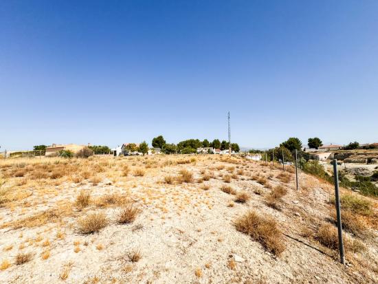 SE VENDE SOLAR EN LOS OLIVOS, CASTILLÉJAR (GRANADA) - GRANADA