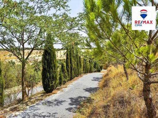 CASA CUEVA con PARCELA mas de  10.000 METROS - GRANADA