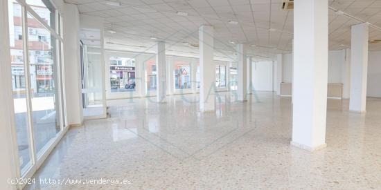 Se alquila GRAN local comercial con los 3 frontales de escaparates - CADIZ