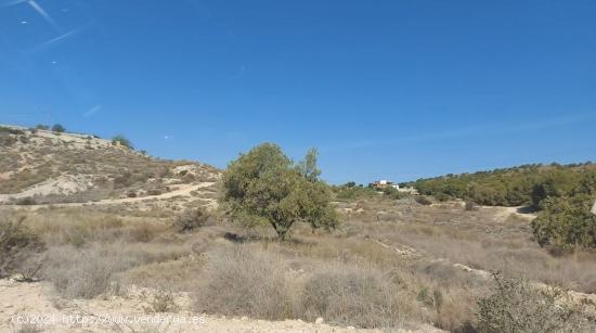  TERRENO EN LAS MONTAÑAS DE ELCHE PARA CONSTRUIR CASA DE ENSUEÑO - ALICANTE 