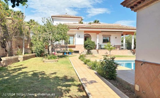  Casa-Chalet en Alquiler en Marbella Málaga 