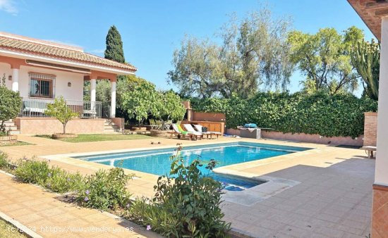 Casa-Chalet en Alquiler en Marbella Málaga