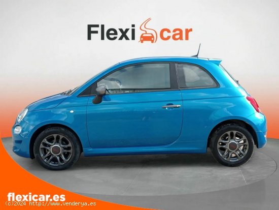 Fiat 500 Cult 1.0 Hybrid 51KW (70 CV) - Segovia