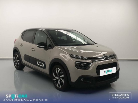 Citroën C3  BlueHDi 75KW (100CV) S&S Shine - Oleiros