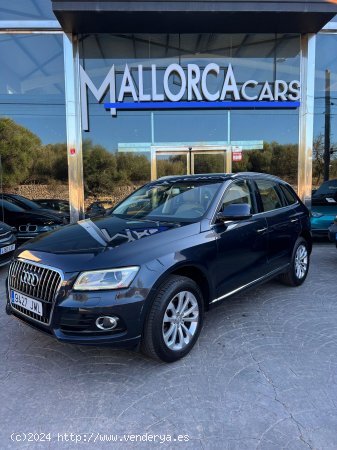 Audi Q5 2.0 TDI - Palma