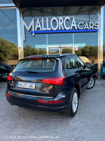 Audi Q5 2.0 TDI - Palma