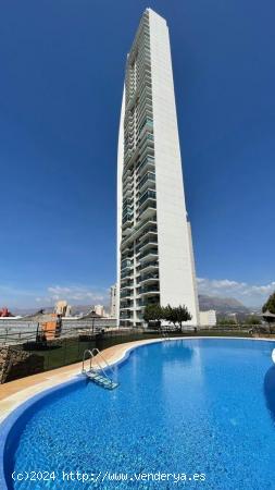 La Torre​ un rascacielos de 158 metros ubicado en Benidorm, Alicante (España) (cl) - ALICANTE