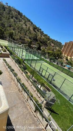 La Torre​ un rascacielos de 158 metros ubicado en Benidorm, Alicante (España) (cl) - ALICANTE