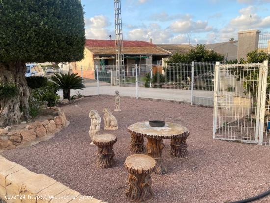 SE VENDE CHALET CON PISCINA - CASA DE LABOR - NAVE AGRICOLA- TODO EN LA MISMA PARCELA - ALICANTE