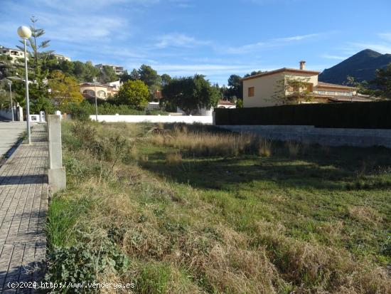 Parcela urbana de 452m2 ubicada en Alcalali. - ALICANTE