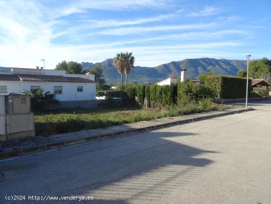 Parcela urbana de 394m2 ubicada en Alcalali. - ALICANTE