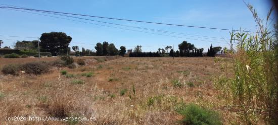 OCASIÓN TERRENO A 2 ESQUINAS - ALICANTE