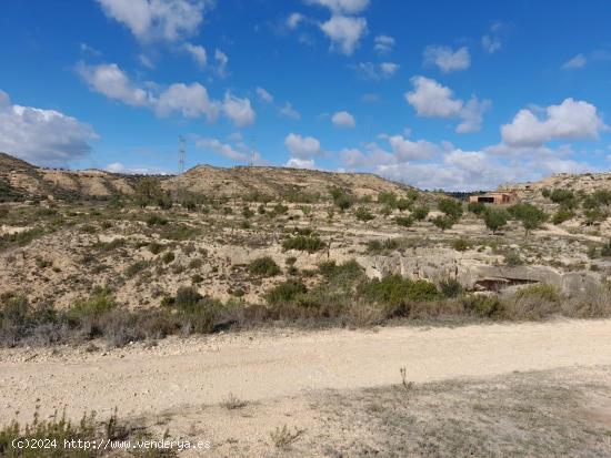 OPORTUNIDAD FINCA RUSTICA DE REGADIO CON CONSTRUCCIONES A REHABILITAR EN VINEBRE - TARRAGONA